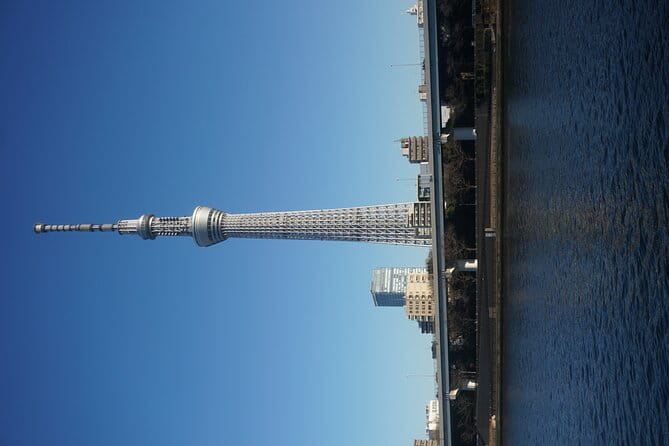 1 Day Tokyo Private Tour With English Speaking Guide - Customer Feedback and Experiences