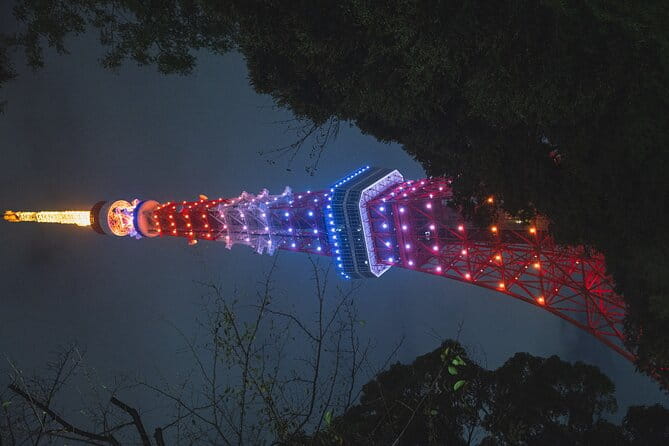 1 Day Tokyo Private Tour With English Speaking Guide - Why Choose This Private Tour