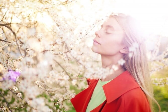 1 Hour Private Photoshoot in Aomori - Overview of the Photoshoot Experience