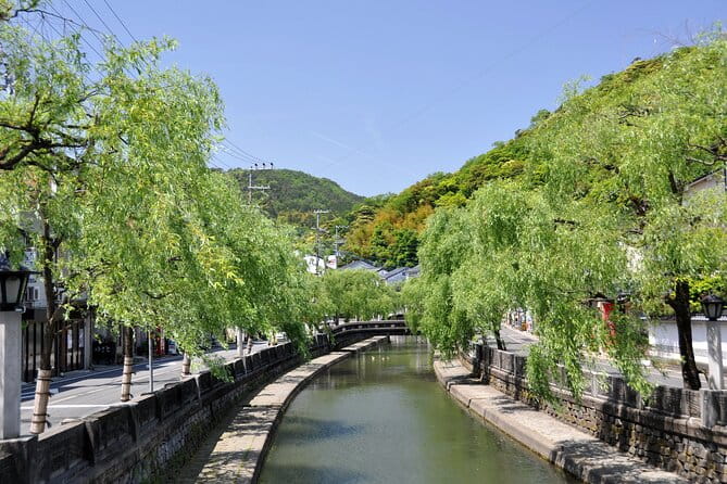 2.5 Hours Kinosaki Onsen Check In Tour - Accessibility and Participation Guidelines