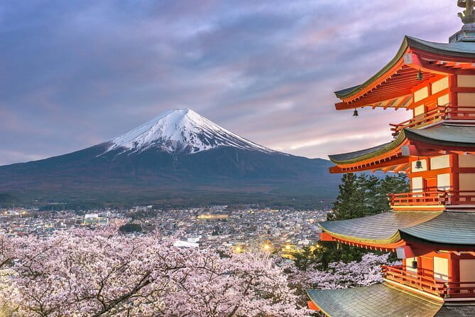 2 Day Tokyo & Fuji Private Tour by Premium Car - Pricing and Group Size