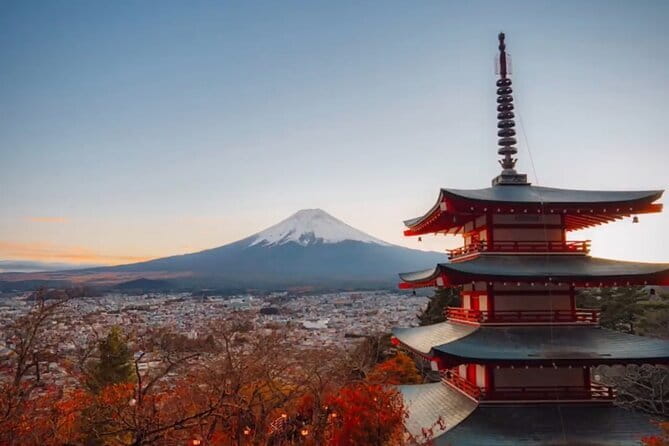 2 Day Tokyo & Fuji Private Tour by Premium Car - Travel Tips for Your Journey