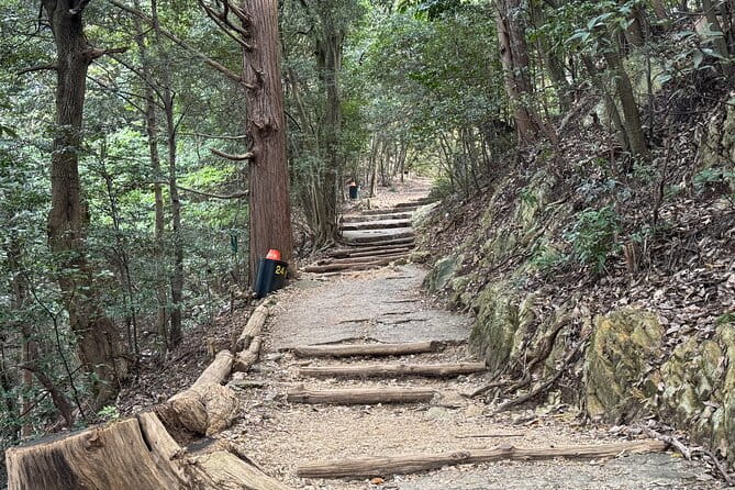2 Hour Private Scenic Mountain Castle Tour in Gifu - Health and Accessibility Information