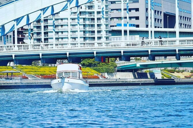 2 Hours Private Cruising Boat Tour;Tokyo Bay & River - Accessibility