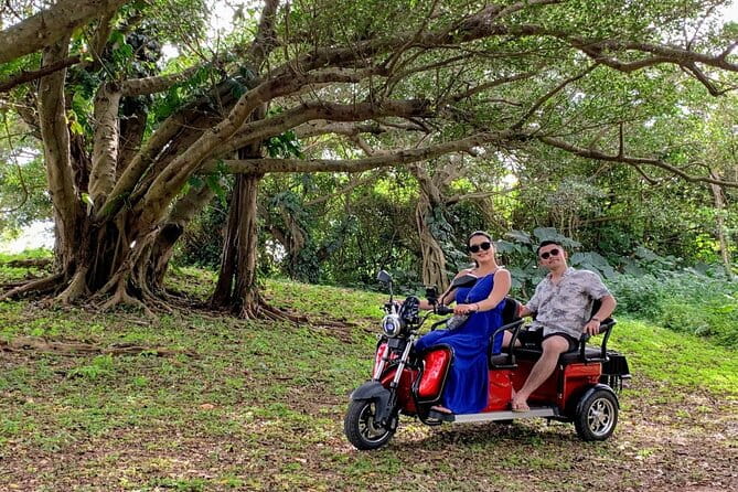 2h 3-Seater Electric Trike Rental (Ishigaki, Okinawa) - Additional Information