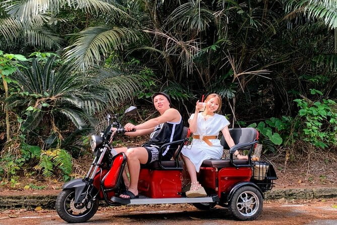 2h 3-Seater Electric Trike Rental (Ishigaki, Okinawa) - Ride Experience and Highlights