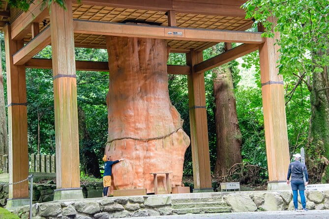 3-Days Experience to Feel the Nature of Aso - Culinary Delights of Aso