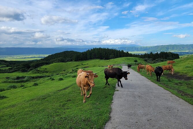 3 Days in Aso to Experience the Nature and Peoples Lives of the Active Volcano - Cultural Encounters With Local Communities