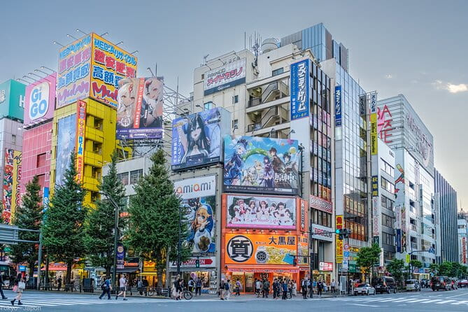 3 to 5 Hours Private Tour in Tokyo With Local Guide - The Sum Up