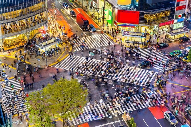 4HOUR Shibuya Unlimited Eat Kobebeef & Wagyu Food&Culture Tour Ex - Key Points