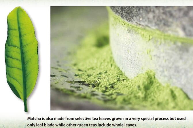 A 90 Min. Tea Ceremony Workshop in the Authentic Tea Room - Preparing for the Tea Ceremony