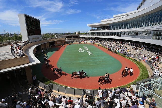 A Tour to Enjoy Japanese Official Gambling (Horse Racing, Bicycle Racing, Pachinko) - Booking Your Gambling Adventure