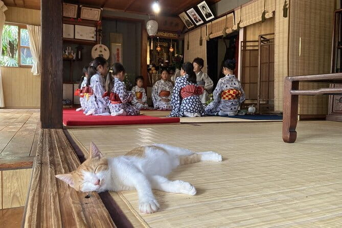 A Traditional Tatami Room Dance by Sumiyoshi Shachu Kagoshima - Confirmation and Booking Process