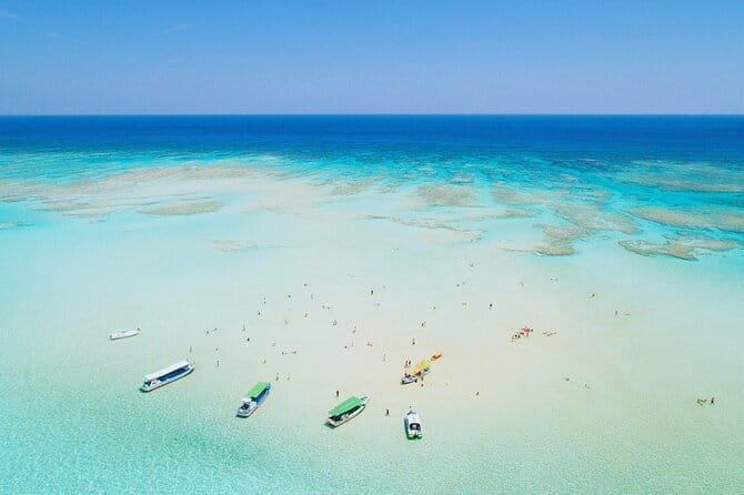 A Traditional Tatami Room Dance by Sumiyoshi Shachu Kagoshima - Cancellation Policy