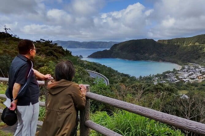 A Traditional Tatami Room Dance by Sumiyoshi Shachu Kagoshima - What to Expect During the Dance Experience