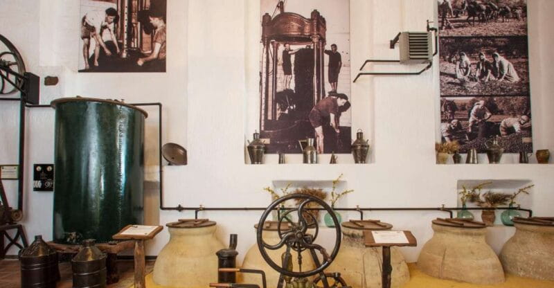 Alcalá La Real: Olive Grove Guided Tour and Tasting - Key Points