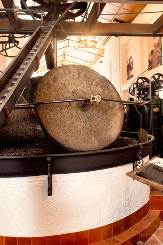 Alcalá La Real: Olive Grove Guided Tour and Tasting - Tour Overview