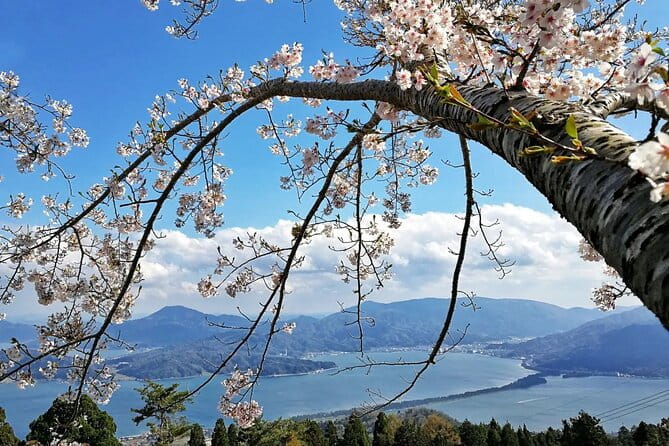 Amanohashidate Private Customizable Tour From Osaka or Kyoto - Transportation Details