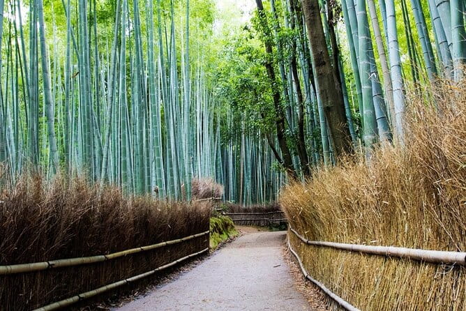 Arashiyama Bamboo Grove Day Trip From Kyoto With a Local: Private & Personalized - Personalize Your Arashiyama Adventure