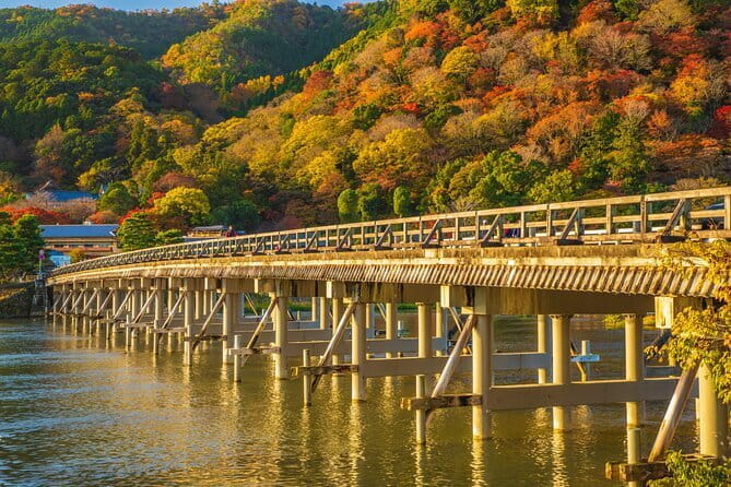 Arashiyama Bamboo & Must See Gardens With an Amazing Guide - Discover the Beauty of Arashiyama Bamboo Grove