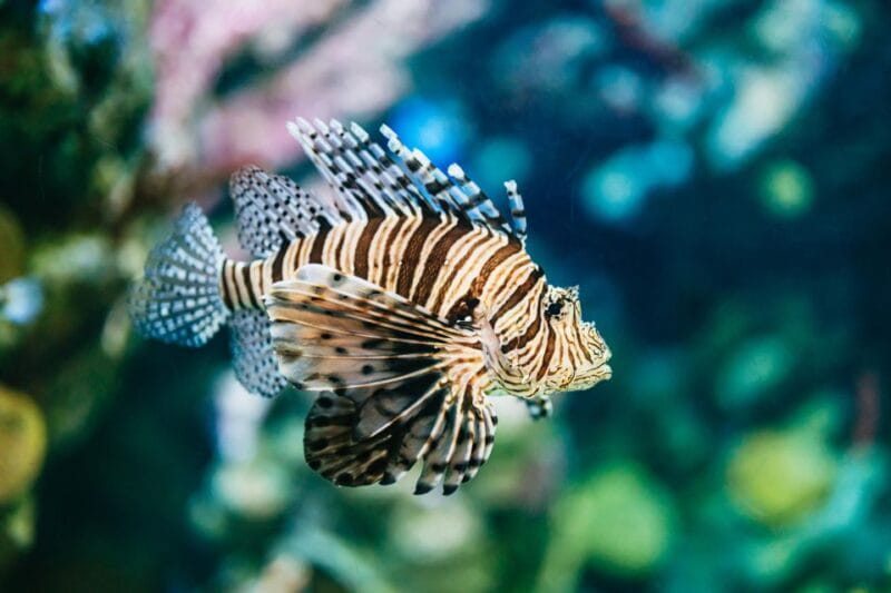 Barcelona Aquarium: Skip-the-Line Admission Ticket - Visitor Amenities and Accessibility