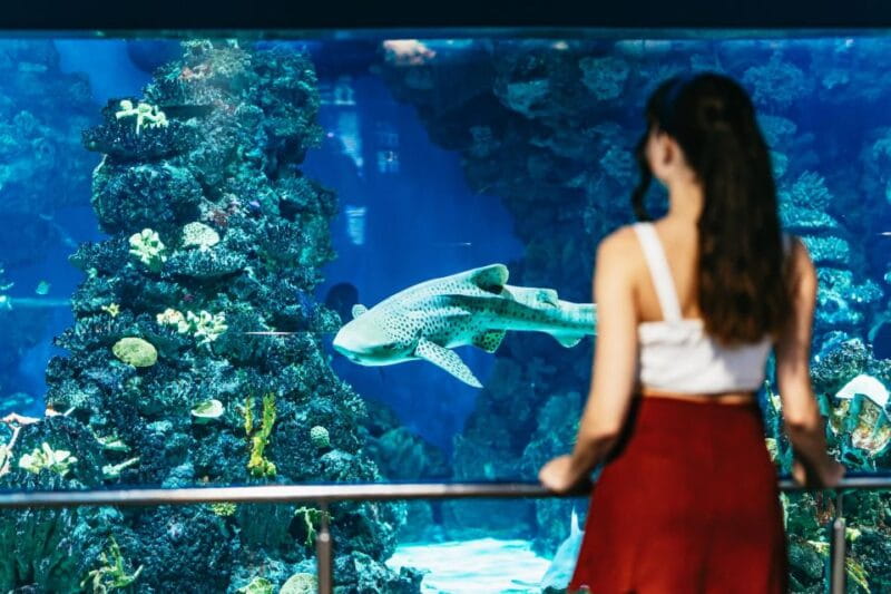 Barcelona Aquarium: Skip-the-Line Admission Ticket - Opening Hours Throughout the Year
