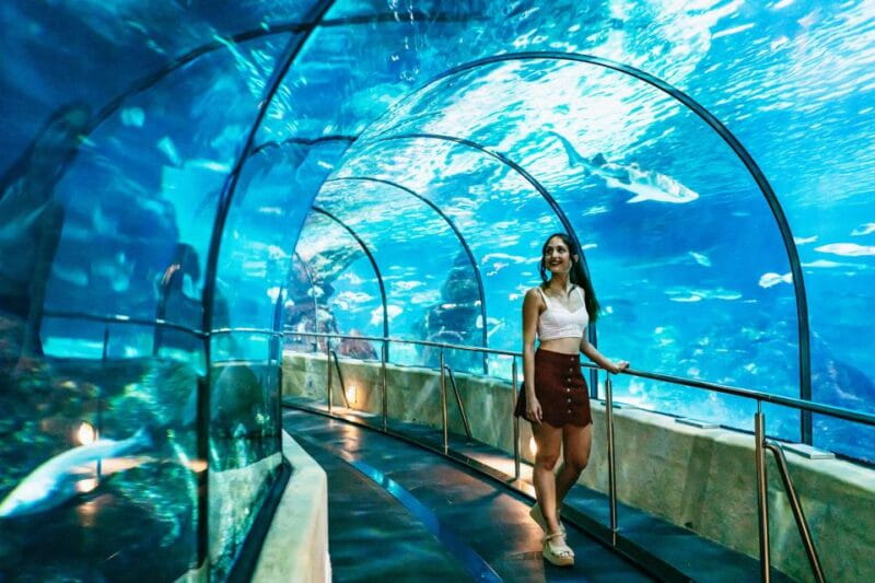 Barcelona Aquarium: Skip-the-Line Admission Ticket - How to Get to the Aquarium