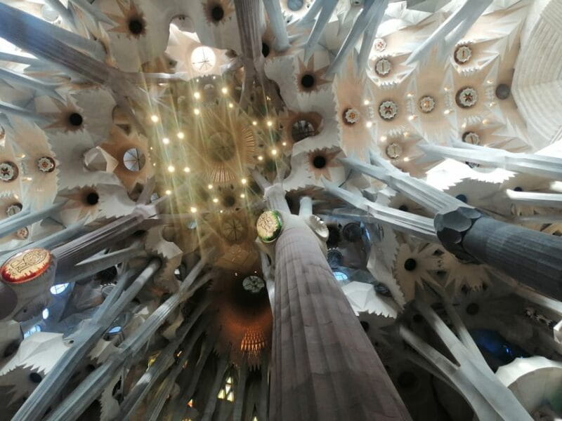 Barcelona: Park Güell Guided Tour - Additional Tour Upgrades