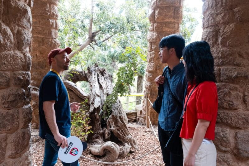 Barcelona: Park Güell Guided Tour With Fast-Track Access - Customer Reviews and Ratings