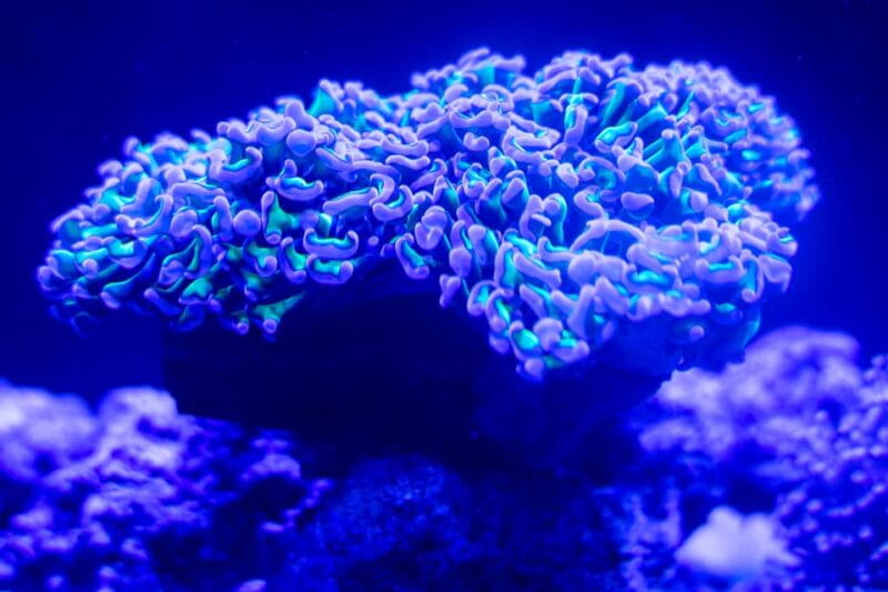 Benalmadena Aquarium Visit - On-Site Amenities