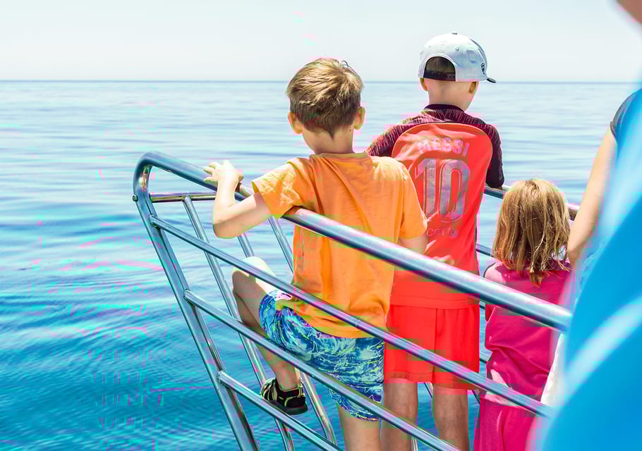 Benalmadena: Dolphin Watching Boat Tour - Tips for a Great Experience