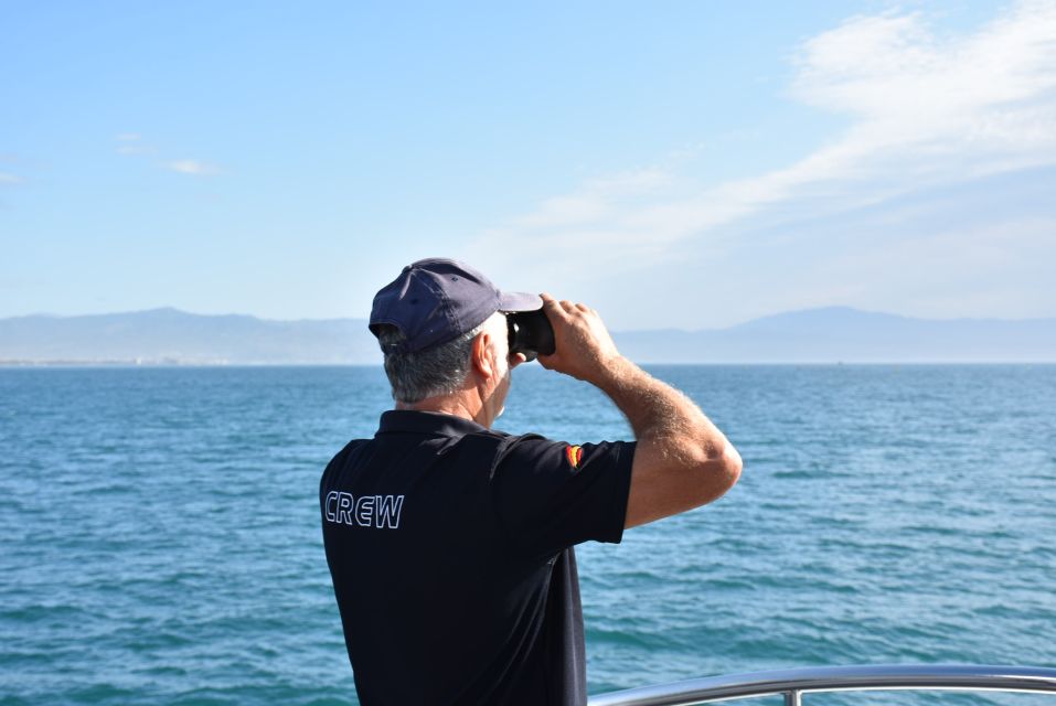 Benalmadena: Dolphin Watching Boat Tour - Additional Activities in Benalmadena