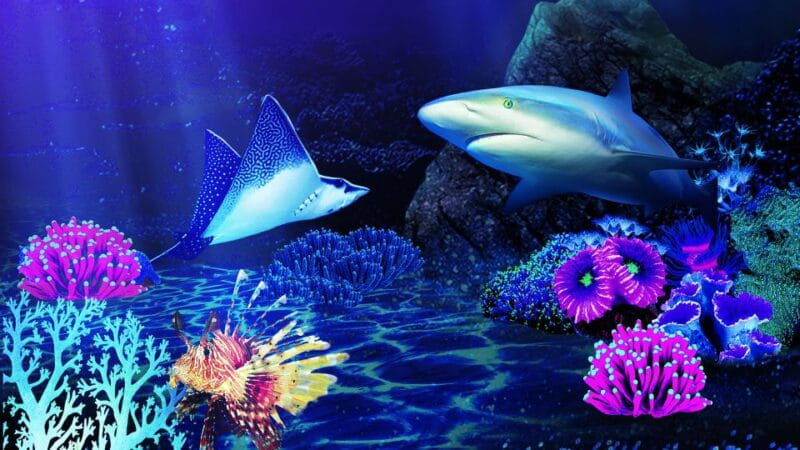 Benalmádena: Sea Life Benalmádena Premium Entry Ticket - Visitor Ratings and Reviews