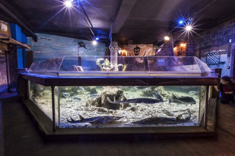 Benalmádena: Sea Life Benalmádena Premium Entry Ticket - Tips for Planning Your Visit