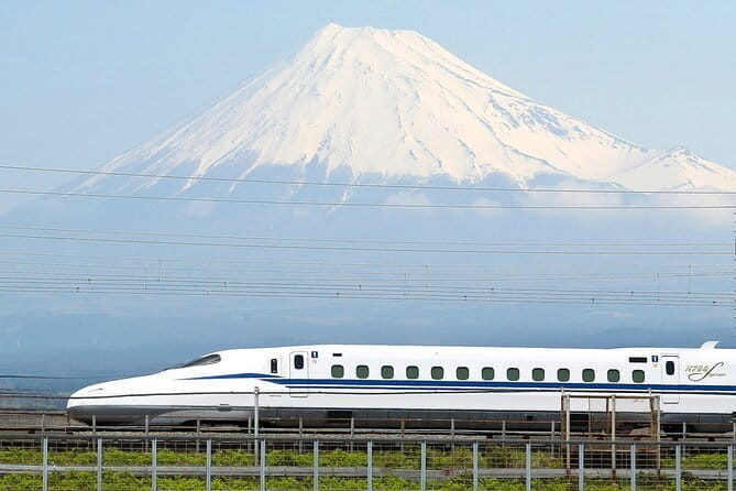 Bullet Train Experience & Mishima Shrine Private Tour From Tokyo - Key Points