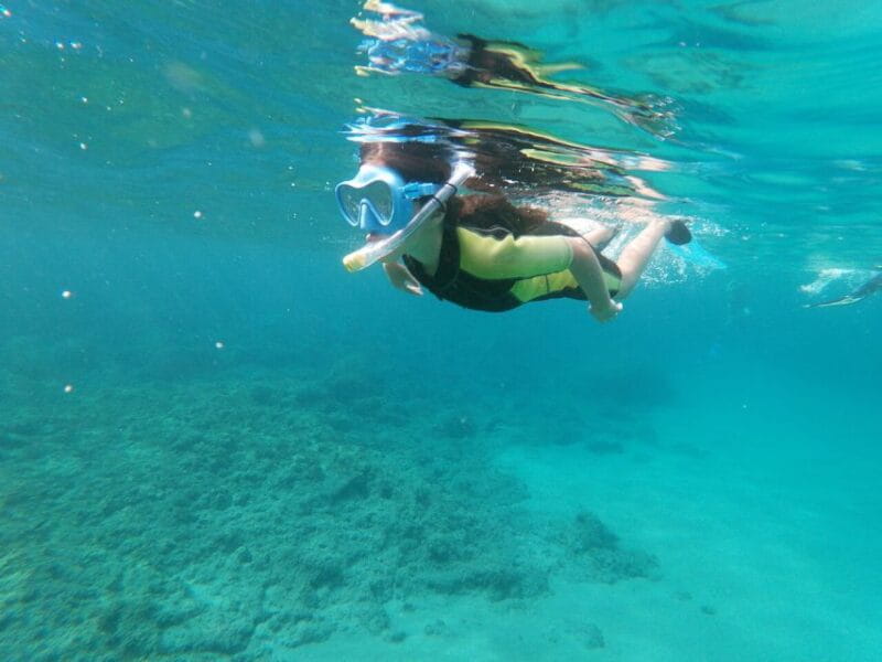 Cabo De Gata Natural Park: Guided Snorkeling Tour - Participant Requirements