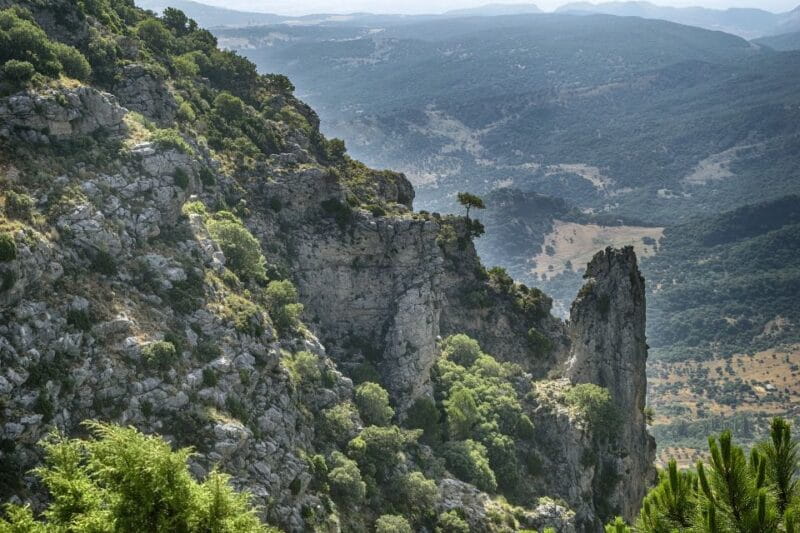 Cadiz, Jerez or El Puerto: White Towns of Andalusia Day Trip - Grazalema Natural Park