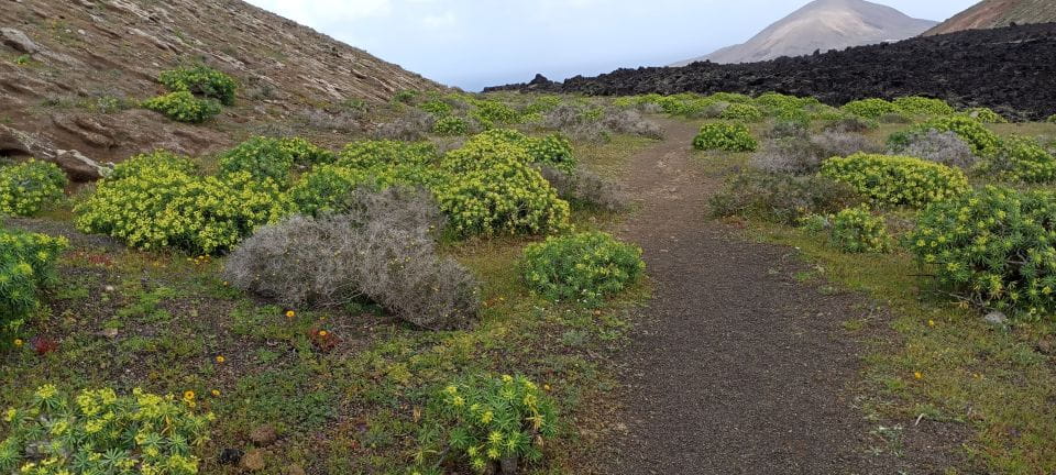 Caldera Blanca: Hiking Through the Wild Beauty of Lanzarote - Canary Islands Geological History