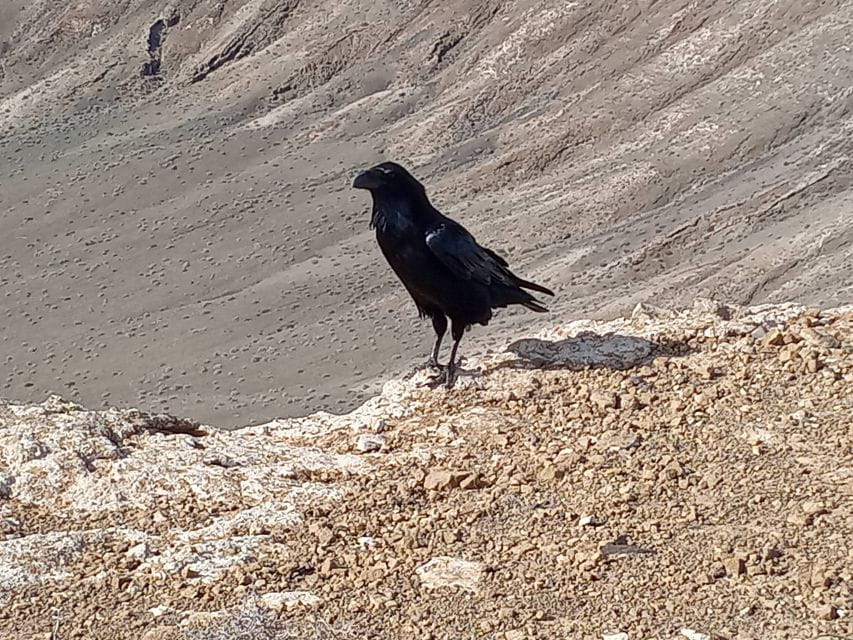 Caldera Blanca: Hiking Through the Wild Beauty of Lanzarote - Hiking Among Lava and Ashes