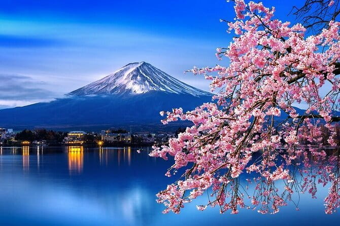Cherry Blossom Mount Fuji Customizable Luxury Vehicle Guided Tour - Tour Highlights