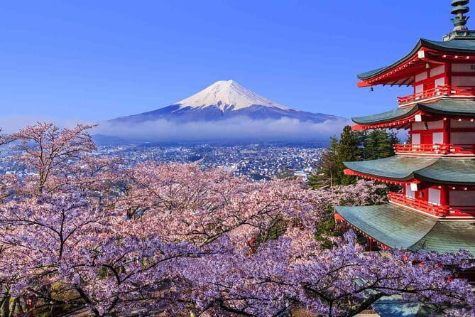 Cherry Blossom Mount Fuji Customizable Luxury Vehicle Guided Tour - Accessibility Options