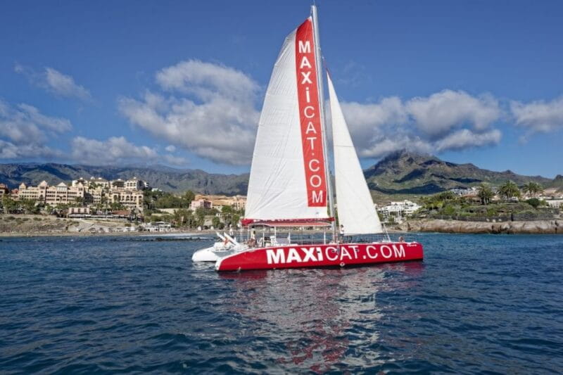 Costa Adeje: Whale and Dolphin Cruise With Food and Pickup - Wildlife Spotting Opportunities