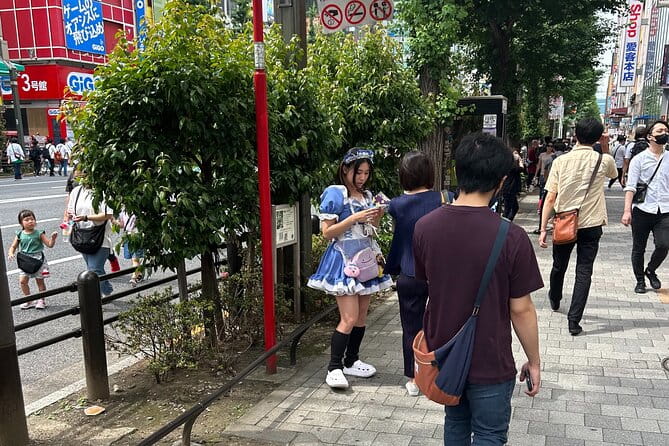 Crazy About Anime! Private Full Day Tokyo Manga Anime Tour by Chartered Vehicle - Pickup and Drop-off Made Easy