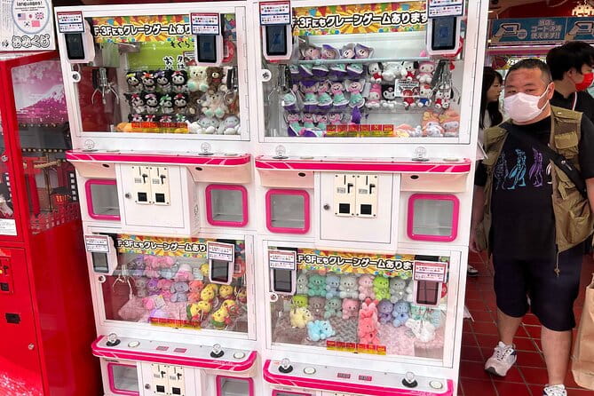 Crazy About Anime! Private Full Day Tokyo Manga Anime Tour by Chartered Vehicle - What to Expect During the Tour