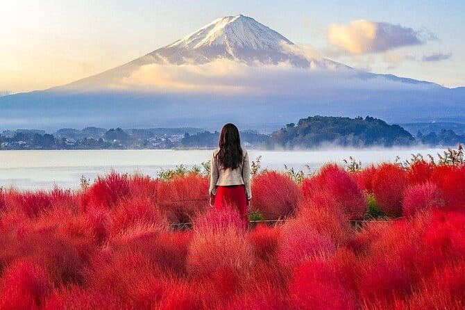 Customizable Private Tour in Mt Fuji From Tokyo by Car or Van - Tour Overview