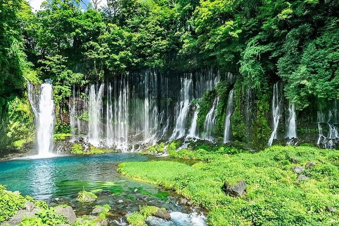 Customizable Private Tour in Mt Fuji From Tokyo by Car or Van - Special Offers and Pricing