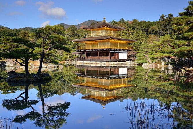 Day Tour From Osaka to Kyoto Lets Enjoy Kyotos Food and Scenery - Key Points