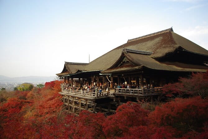 Day Tour From Osaka to Kyoto Lets Enjoy Kyotos Food and Scenery - Tour Overview and Pricing