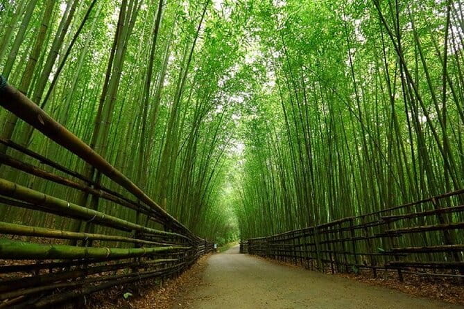 Day Tour From Osaka to Kyoto Lets Enjoy Kyotos Food and Scenery - Included Lunch and Dinner