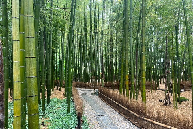 Day Trip Kamakura From Tokyo With National Licensed Guide - Accessibility and Requirements